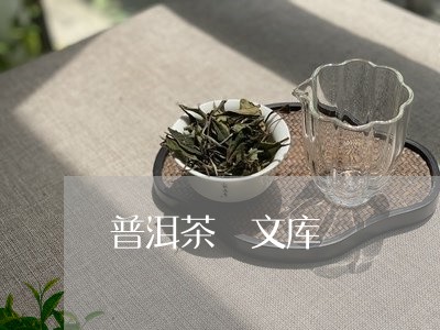 普洱茶 文库/2023042855057